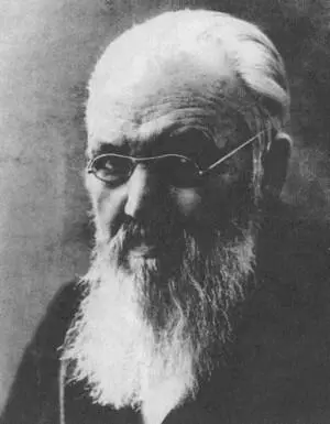 А С Суворин В М Дорошевич Шарж Н Ремизова Сахалинский рудник - фото 7