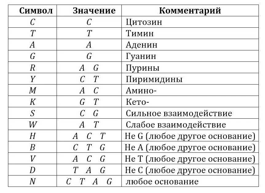 Из них состоит полинуклеотид рибо или дезоксирибонуклеиновая кислота РНК - фото 19