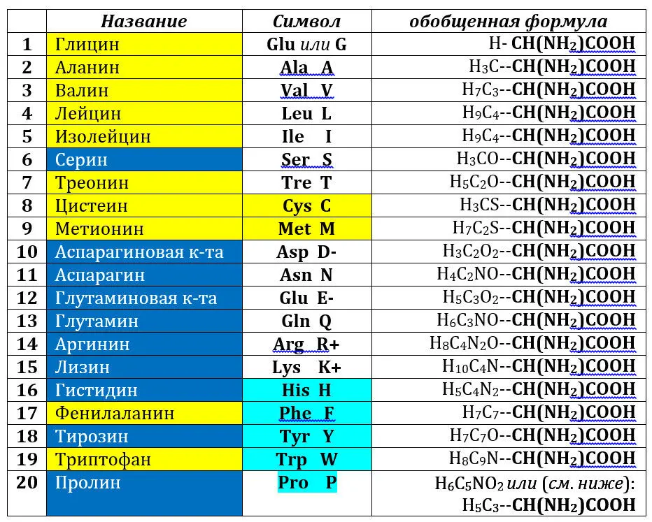 Для обозначения аминокислот напомним что кодируемыми являются - фото 22