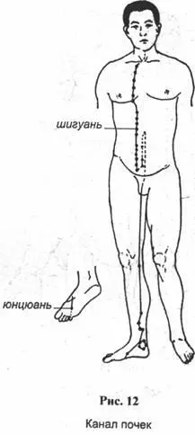 Даосская гимнастика - фото 76
