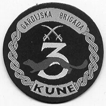 Рис 21 3я гвардейская бригада Куницы Осиек Армия Хорватии Рис 22 - фото 37