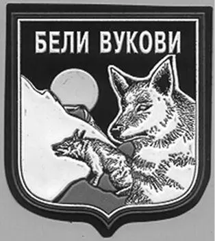 Рис 22 Специальный батальон Волки белые Армия Республики Сербской Рис - фото 38
