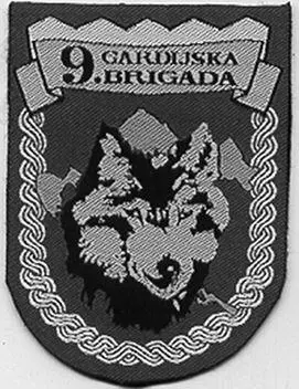Рис 23 9я гвардейская бригада Волки Госпич Армия Хорватии Рис 24 - фото 39