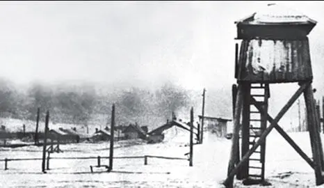 Архипелаг Гулаг Осенью 1942 года власти занялись другими народами СССР - фото 195