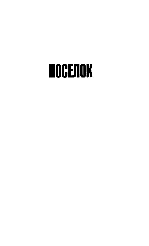Часть первая ПЕРЕВАЛ Глава первая В доме было сыро мошка толклась у - фото 8