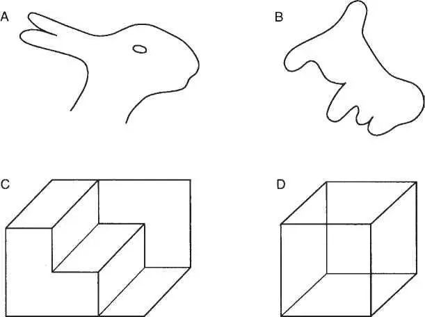 Рис 21 Примеры перцептивно обратимых фигур использованных в экспериментах - фото 2