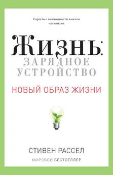 Стивен Рассел - Жизнь: зарядное устройство. Скрытые возможности вашего организма