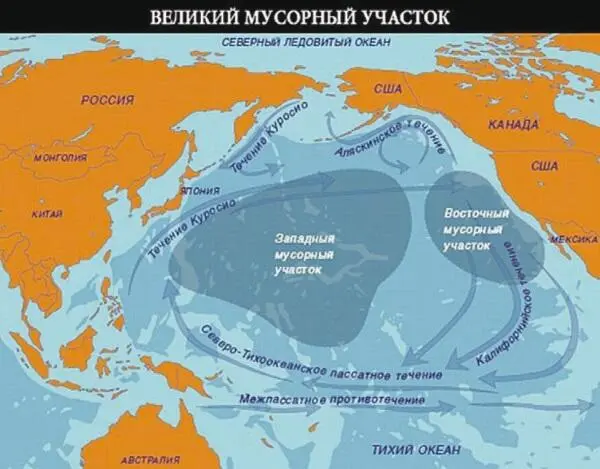 Рис 51 Схема загрязнения Тихого океана Рис 52 Суп из пластикового - фото 71