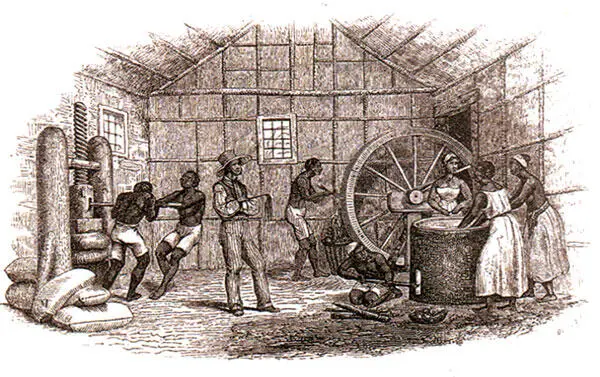 Мельница для изготовления маниоковой муки Батлер Литография 1845 г С 1530 - фото 9