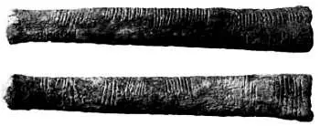 Кость Ишанго одно из древнейших доказательств использования чисел хранится в - фото 1