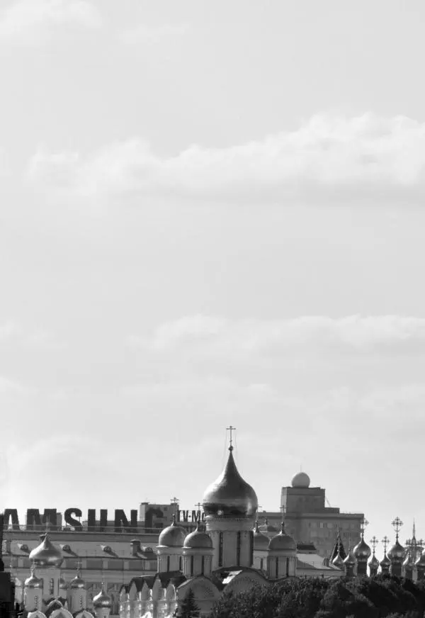 Девятнадцать лет спустя Данная книга была задумана как опыт восполнения - фото 18