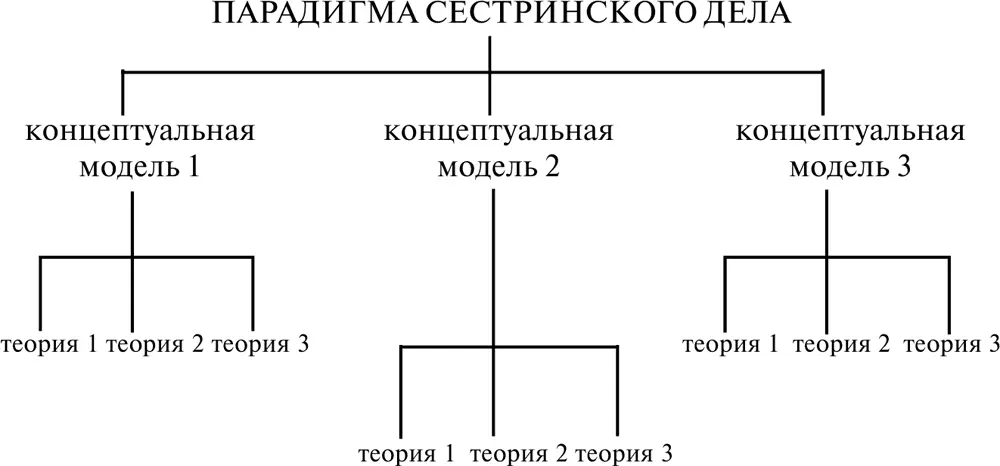 Ким 1989 пошла в этом направлении дальше и создала другую иерархическую - фото 3
