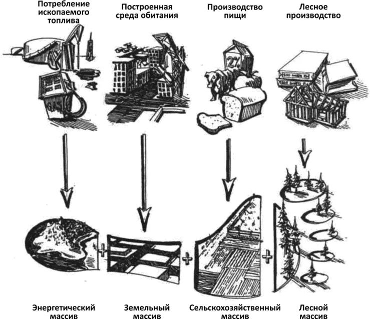 Рис 13 Наш экологический след Источник Rees Wackernagel 1994 p 67 - фото 3