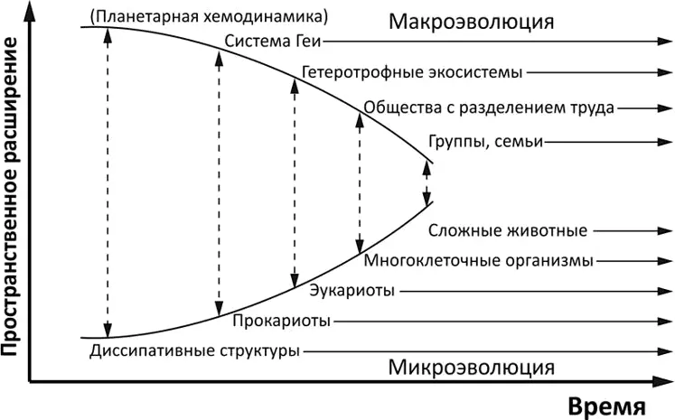Рис 31 Эмерджентная самоорганизация Вселенной и человеческой жизни - фото 7