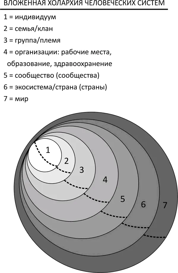 Рис 118 Концептуальная схема вложенных холонов ИМВП Основная задача - фото 50
