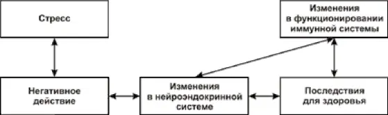 Рис 3 Основная психонейроиммунологическая модель На схеме видно как влияют - фото 8