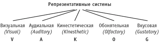 Рис 1Наши репрезентативные системы связанные с 5 чувствами Каждая - фото 71