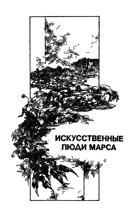 Глава I Где Рас Тавас От западной границы Фандала до восточной границы - фото 4