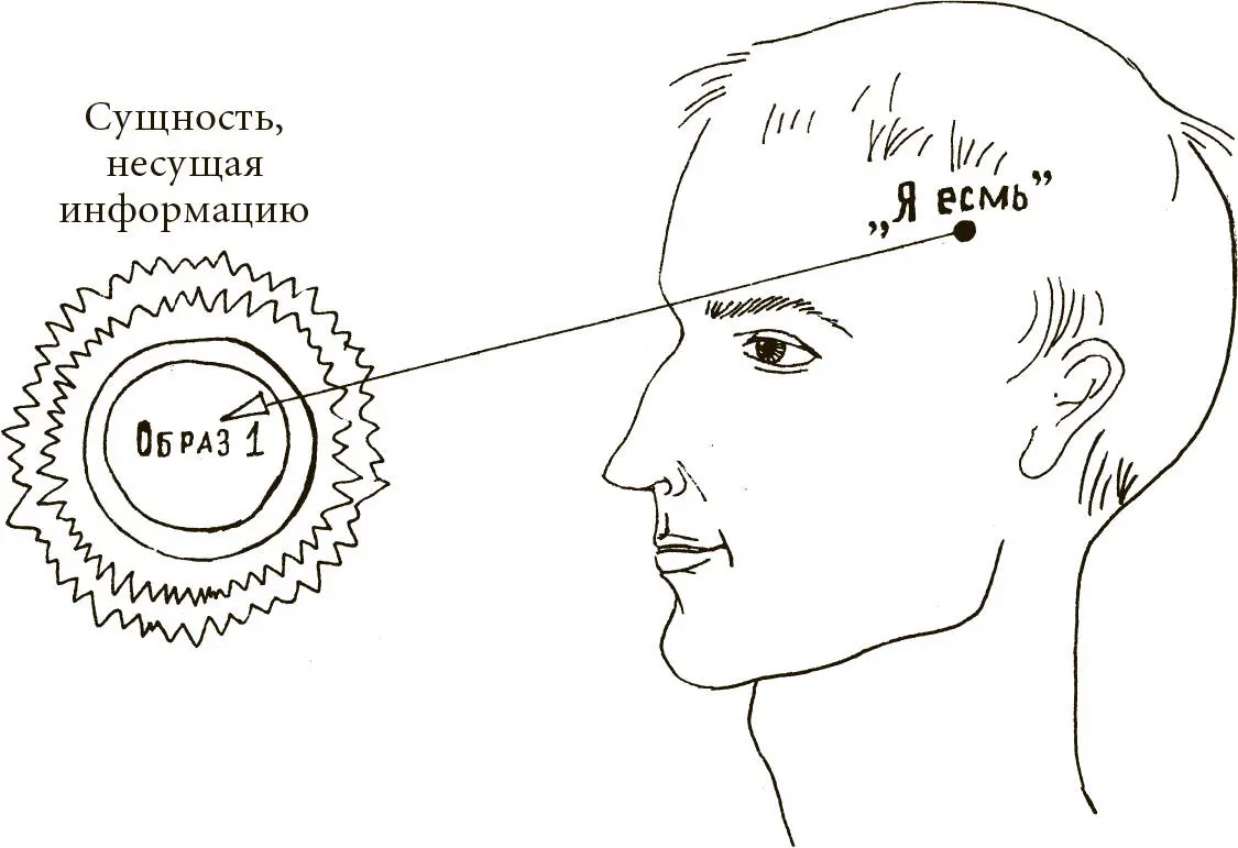 Рис 27 Прочитать любую информацию накопленную энергоинформационным - фото 27