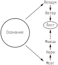 Рис 10 Нематериальное сознание влияет на движение материи Какая разница - фото 34
