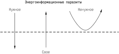 Рис 8 Оболочка это самонастраивающийся фильтр Не пропускающая ненужного и - фото 8