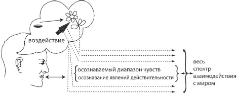 Человеческий разум связан с миром гораздо полнее чем это ему кажется и при - фото 14