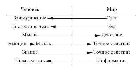 Рис 1 Энергия используется для создания информации информация для - фото 2