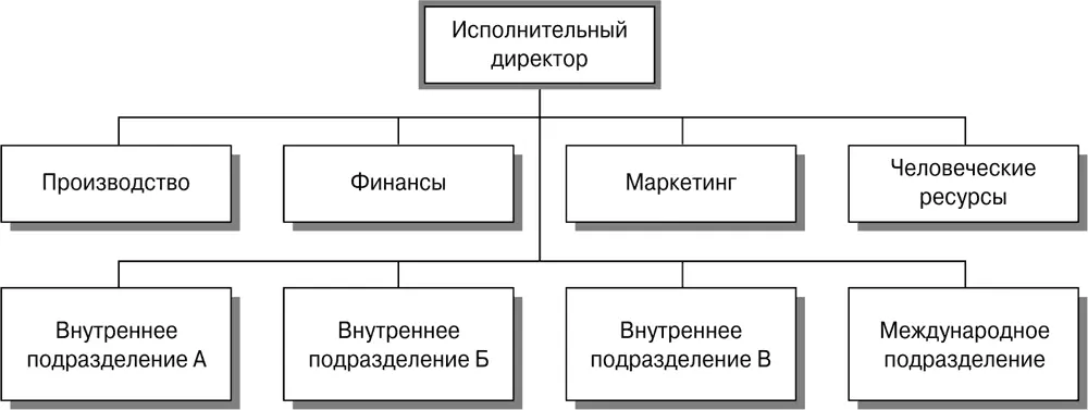 Рис 126Международная дивизиональная структура Фирмы выбирающие - фото 64