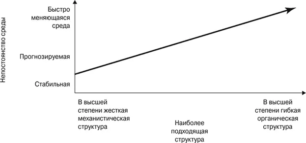 Рис 128Зависимость между непостоянством среды и структурой организации - фото 66