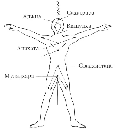 Рис 2 Чакры стремительно перераспределяют энергию Вселенной по телу человека - фото 2