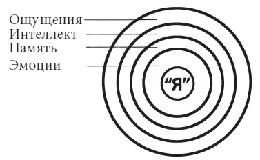 Рис 12 Человеческое существо словно жемчужина состоит из многих - фото 12