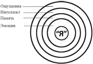 Рис 13 Человеческое существо словно жемчужина состоит из многих - фото 13