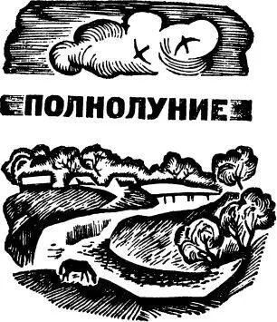 Часть вторая ПОЛНОЛУНИЕ 1 Лето прощаясь сухо дохнуло на степи сверкающим - фото 3