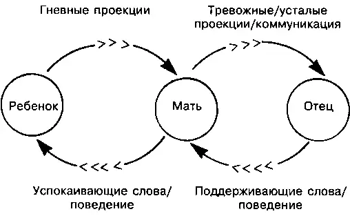 Рис 91 Депрессивные матери также порой не способны психологически поддержать - фото 19