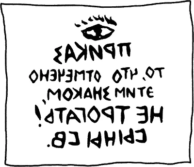 Отнесли мы листовки домой а ночью отправились по шпионским делам и когда - фото 3