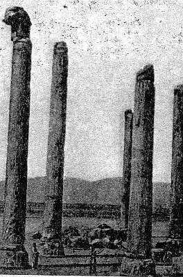 Рис 238 Колонны дворца в Персеполе в Иране Ее верхняя часть погружена в - фото 241