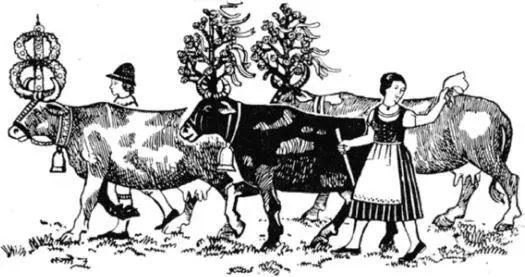 Праздник возвращения скота с планины пастбища сохранился до XX века - фото 40