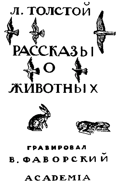 А дальше Воробей воробей реальный которого почти что можно пощупать он - фото 20