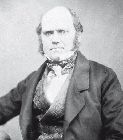 Дарвин в 1830х 1850х и 1870х годах Совсем не молчанием встретила - фото 25