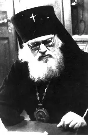 Владыка Лука на заседании Священного Синода Не могу согласиться с этим - фото 34