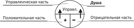 Схема 28 Так как при подобном развитии у индивидуума добавляется в - фото 36