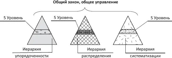 Схема 37 Связующее начало этих законов есть порядок в подчинительной форме - фото 47