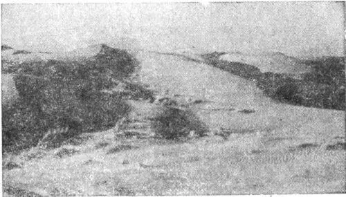 На этом месте 20 сентября 1918 года по указанию английских интервентов были - фото 7