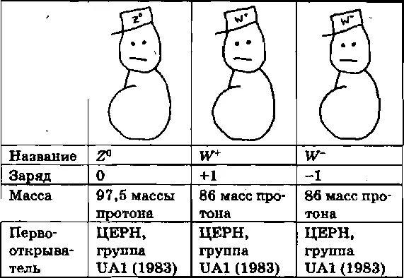 Эти пухленькие частицы отвечают за перенос слабого взаимодействия Обратите - фото 52