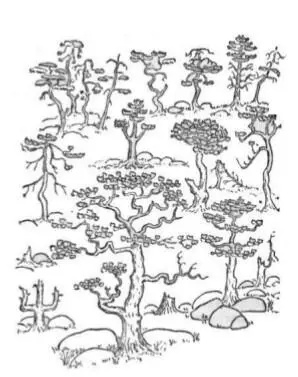 Росли там Empetrum nigrum Rubus chamaemorus 450 Eriophorum vaginatum 451 - фото 241