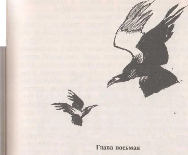 ВЕСТНИКИ С того самого момента как Карр покинула Каер Даллбен она летела - фото 19