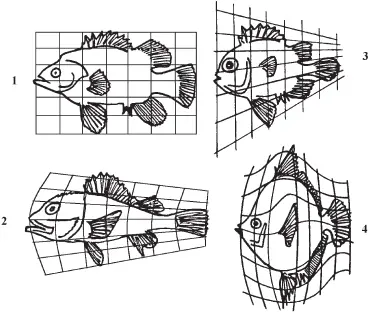Рис 5 Формы рыб 1 Polyprion 2 Pseudopricanthus 3 Scorpena 4 - фото 8