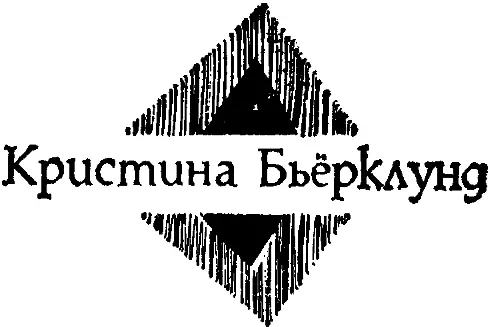 Новогодняя ночь Перевод с шведского Е Чевкиной Опять с утра снег - фото 25