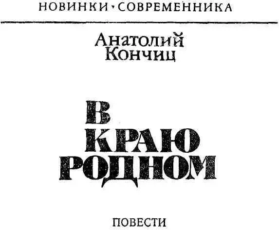 ОСТРОВИТЯНЕ Стояла жара и остров посреди реки сверкал песками Комары - фото 1