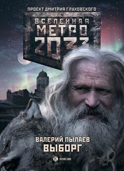 Валерий Пылаев - Метро 2033. Выборг